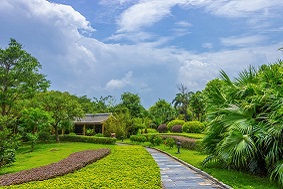 景觀式太陽能殺蟲燈，應用于嵊泗縣基湖村！